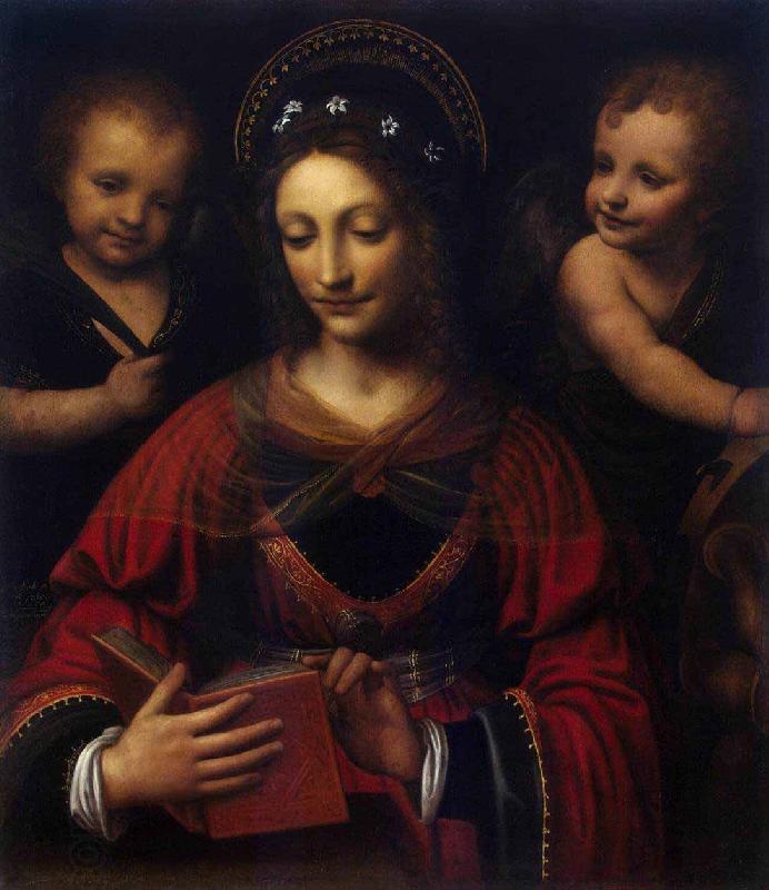 Bernardino Lanino Saint Catherine China oil painting art